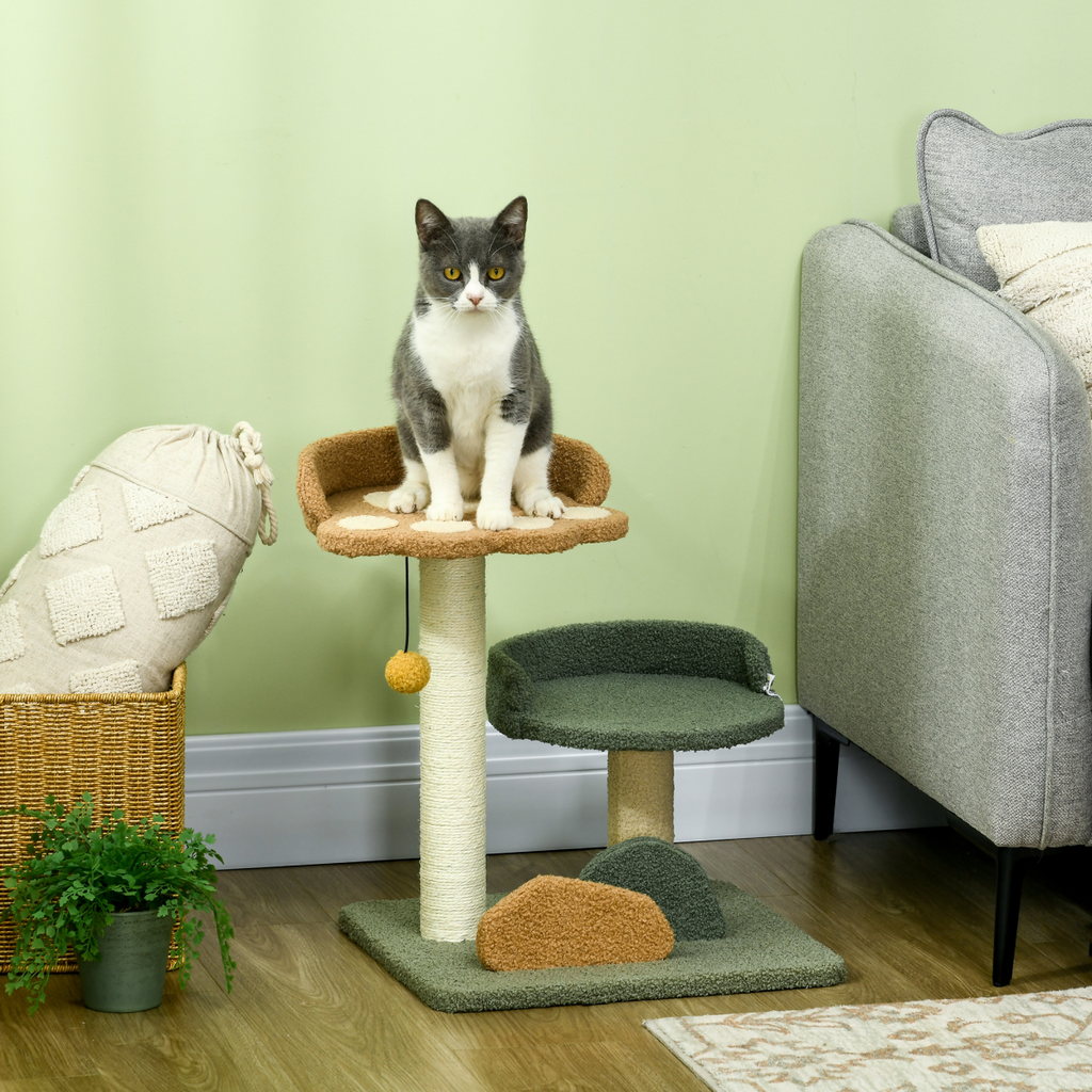 52cm Indoor Cat Tree with Dual Beds, Scratching Posts & Toy Ball