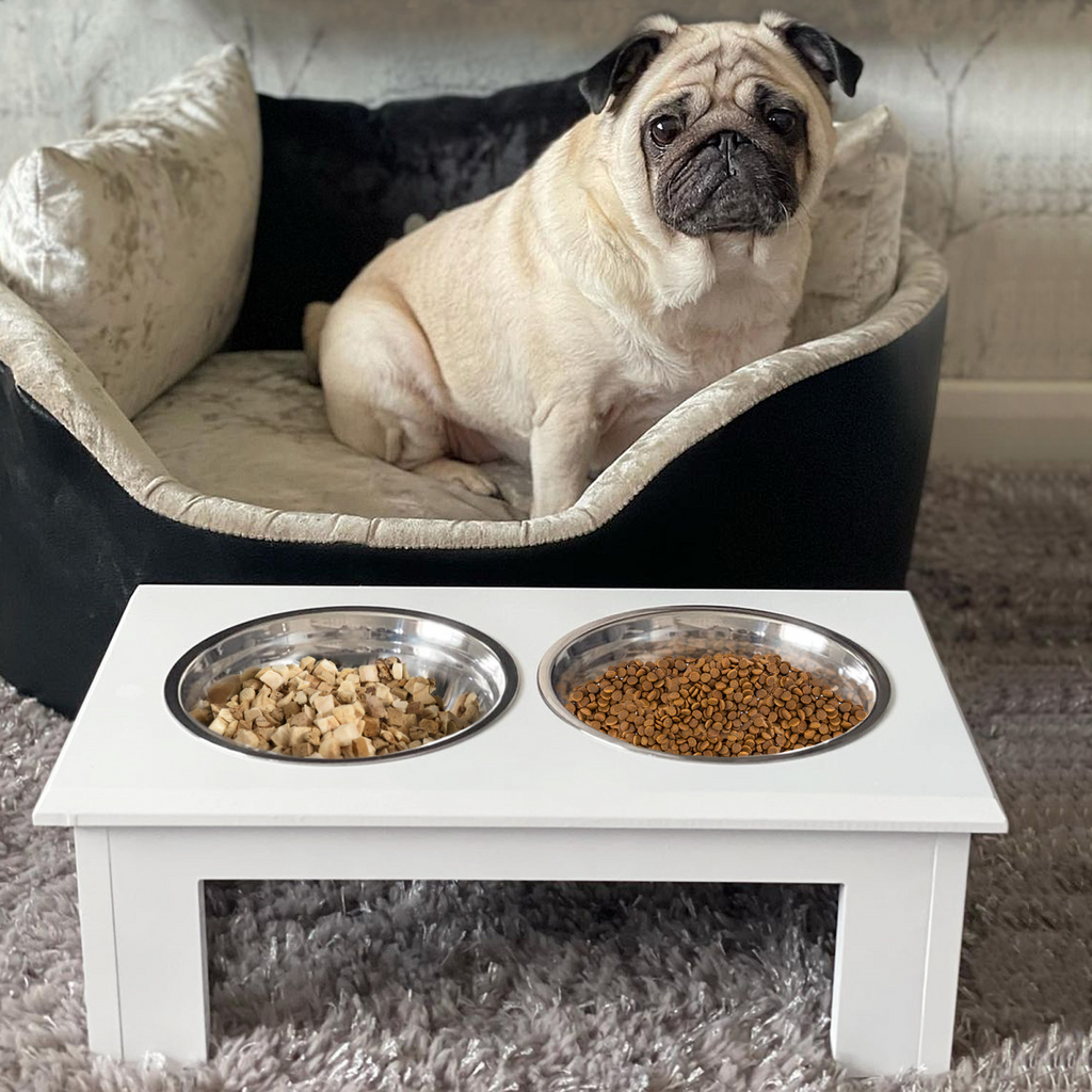 Raised Pet Feeder with Stainless Steel Bowls - Food & Water, White, Small