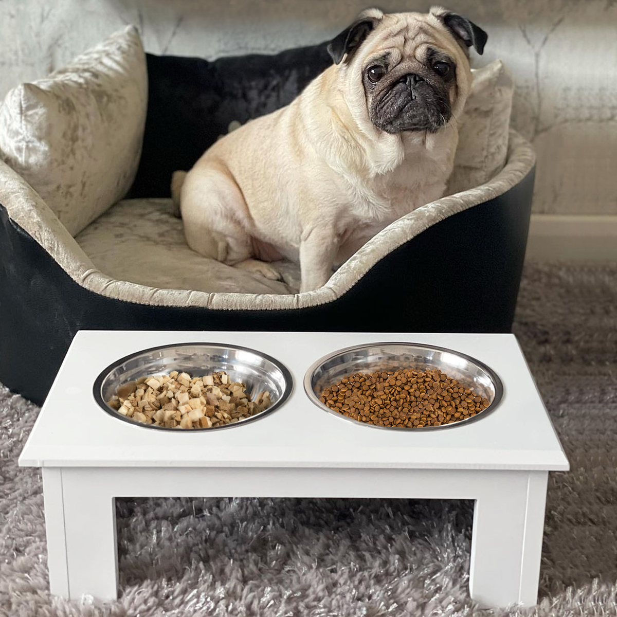 Raised Pet Feeder with Stainless Steel Bowls - Food & Water, White, Small